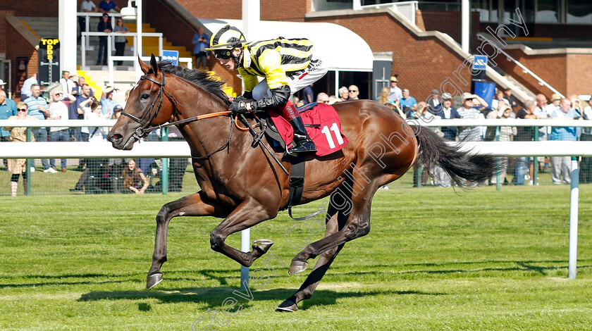 Sakheer-0002 
 SAKHEER (David Egan) wins The Auction Finance EBF Novice Stakes
Haydock 1 Sep 2022 - Pic Steven Cargill / Racingfotos.com