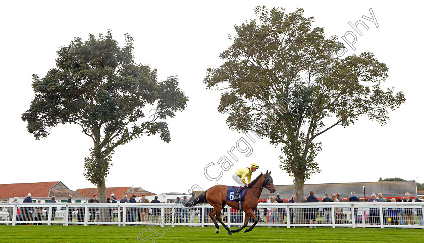 Tajanis-0006 
 TAJANIS (Cieren Fallon) winner of The Moulton Nurseries Handicap
Yarmouth 21 Sep 2023 - Pic Steven Cargill / Racingfotos.com