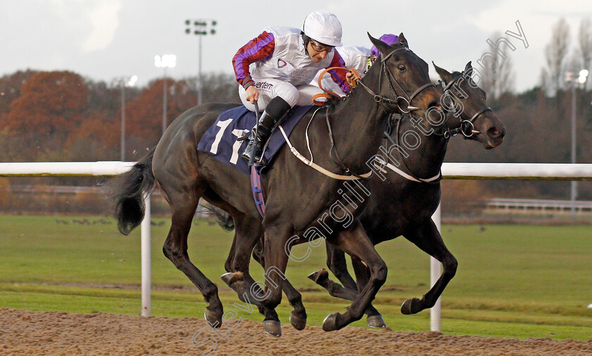 Dark-Regard-0004 
 DARK REGARD (P J McDonald) wins The Ladbrokes Nursery
Wolverhampton 26 Nov 2019 - Pic Steven Cargill / Racingfotos.com