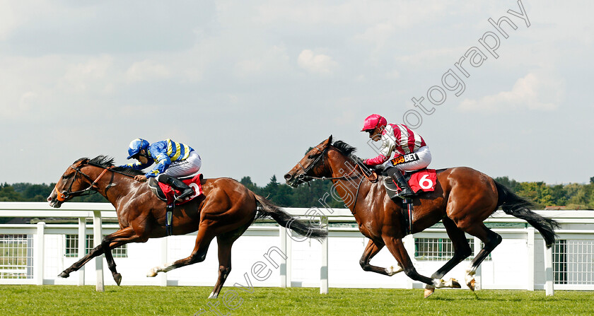 Rum-Runner-0005 
 RUM RUNNER (Sean Levey) beats ENZEMBLE (right) in The British Stallion Studs EBF Maiden Stakes Div1 Sandown 1 Sep 2017 - Pic Steven Cargill / Racingfotos.com