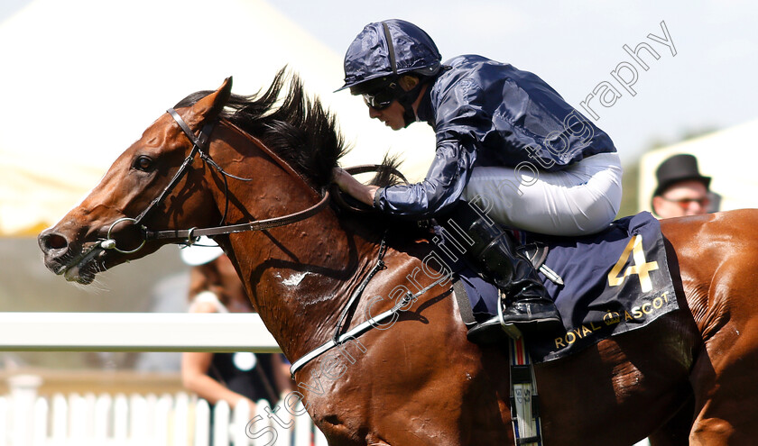 Hunting-Horn-0007 
 HUNTING HORN (Ryan Moore) wins The Hampton Court Stakes
Royal Ascot 21 Jun 2018 - Pic Steven Cargill / Racingfotos.com