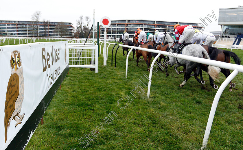 Newbury-0002 
 Be Wiser Advertising
Newbury 22 Mar 2019 - Pic Steven Cargill / Racingfotos.com