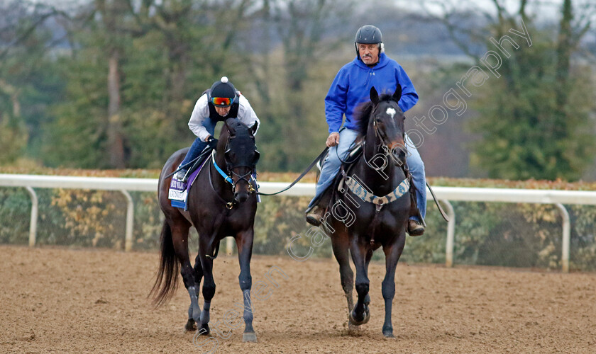 Gunite-0001 
 GUNITE training for the Breeders' Cup Dirt Mile with Steve Asmussen (right)
Keeneland, USA 31 Oct 2022 - Pic Steven Cargill / Racingfotos.com