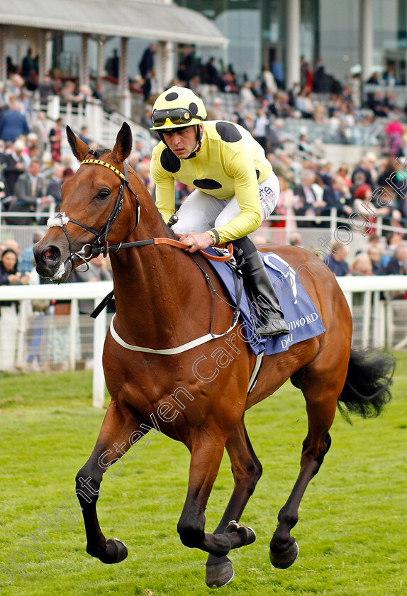 Liberty-Lane-0001 
 LIBERTY LANE (Clifford Lee)
York 18 May 2023 - Pic Steven Cargill / Racingfotos.com