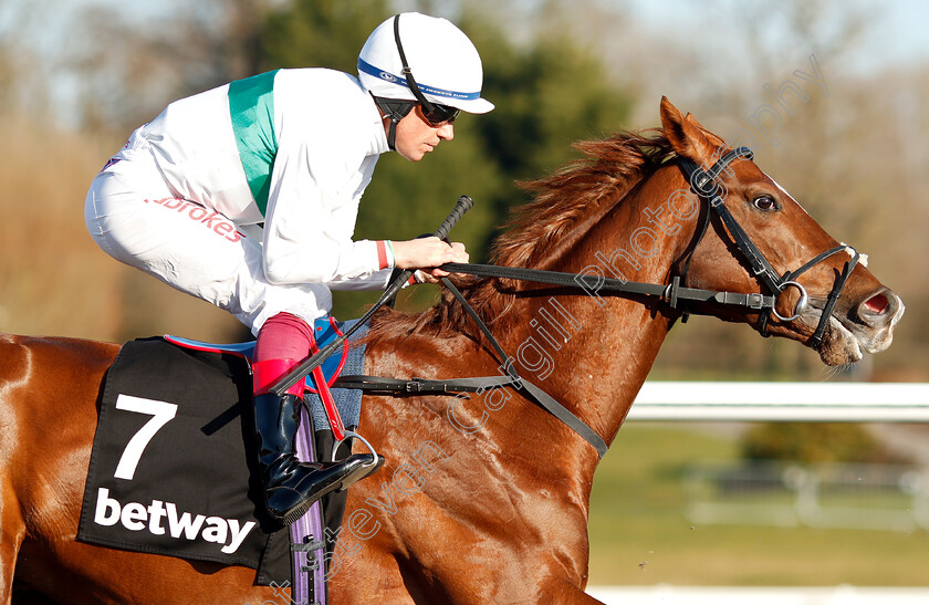 Wissahickon-0004 
 WISSAHICKON (Frankie Dettori) before winning The Betway Winter Derby Stakes
Lingfield 23 Feb 2019 - Pic Steven Cargill / Racingfotos.com