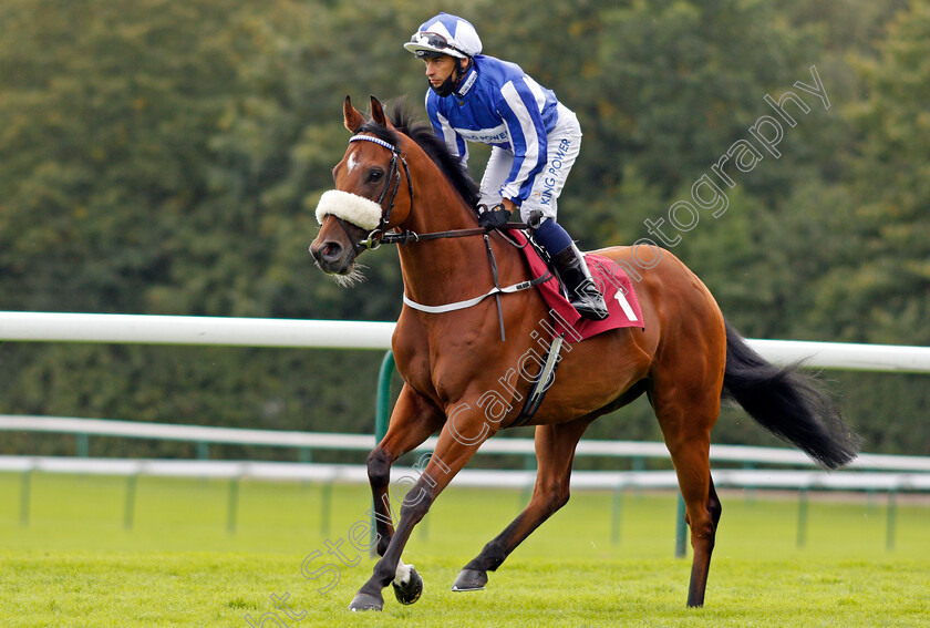 Bielsa-0002 
 BIELSA (Silvestre De Sousa)
Haydock 4 Sep 2020 - Pic Steven Cargill / Racingfotos.com