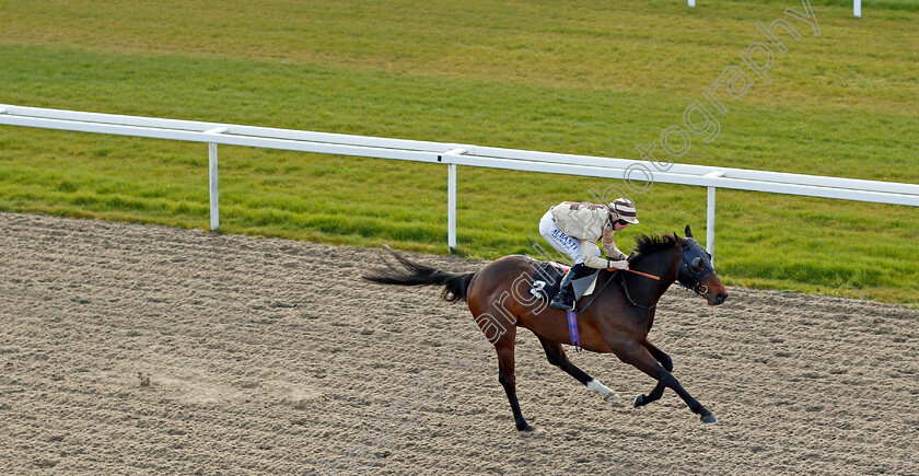 Jungle-Run-0005 
 JUNGLE RUN (Jack Mitchell) wins The Ministry Of Sound Disco Handicap
Chelmsford 31 mar 2022 - Pic Steven Cargill / Racingfotos.com