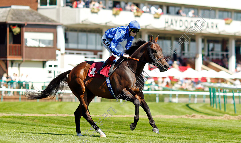 Arabian-Warrior-0001 
 ARABIAN WARRIOR (David Egan)
Haydock 1 Sep 2022 - Pic Steven Cargill / Racingfotos.com