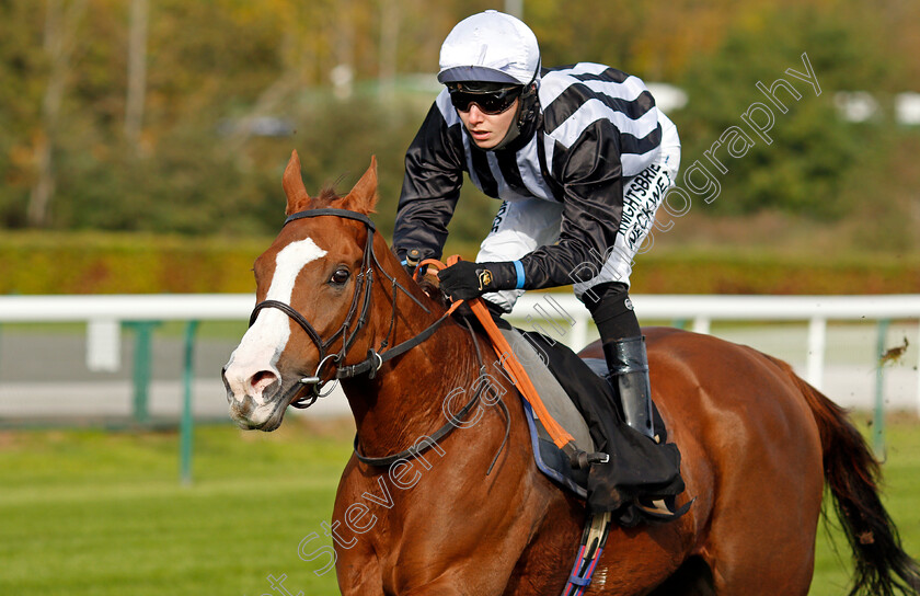 Lunar-Jet-0005 
 LUNAR JET (Phil Dennis) wins The Follow @mansionbet On Twitter Handicap
Nottingham 14 Oct 2020 - Pic Steven Cargill / Racingfotos.com