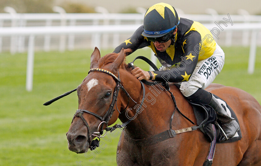 Alemaratalyoum-0005 
 ALEMARATALYOUM (Sean Levey) wins The Old Mout Optional Claiming Handicap
Goodwood 25 Sep 2019 - Pic Steven Cargill / Racingfotos.com