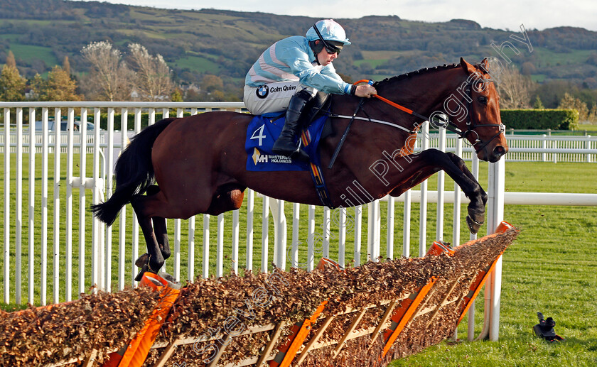 Twobeelucky-0002 
 TWOBEELUCKY (A E Lynch) wins The Masterson Holdings Hurdle Cheltenham 28 Oct 2017 - Pic Steven Cargill / Racingfotos.com