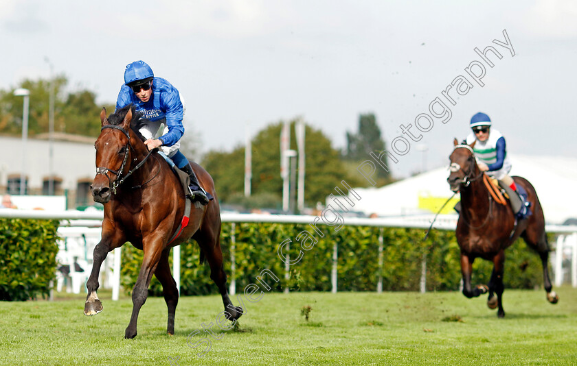 Adayar-0004 
 ADAYAR (William Buick) wins The Hilton Garden Inn Doncaster Conditions Stakes
Doncaster 8 Sep 2022 - Pic Steven Cargill / Racingfotos.com