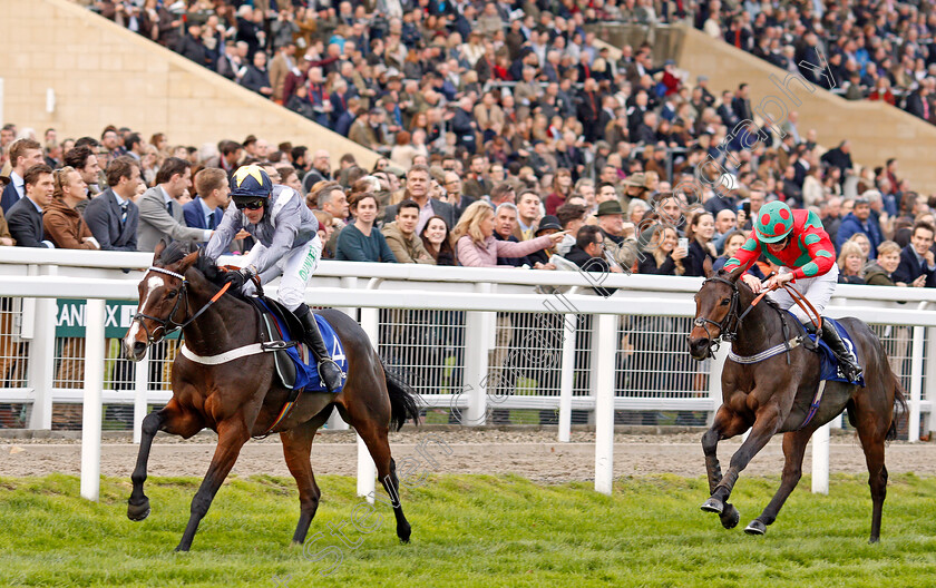 Thomas-Campbell-0002 
 THOMAS CAMPBELL (Nico de Boinville) beats MILROW (right) in The Pertemps Network Handicap Hurdle Cheltenham 28 Oct 2017 - Pic Steven Cargill / Racingfotos.com