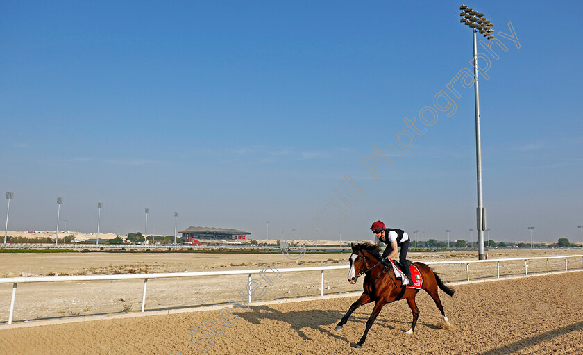 Point-Lonsdale-0001 
 POINT LONSDALE training for the Bahrain International Trophy
Kingdom of Bahrain 14 Nov 2024 - Pic Steven Cargill / Racingfotos.com