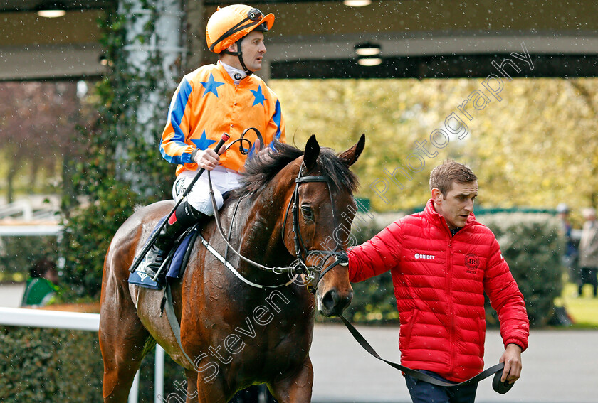 Torcedor-0008 
 TORCEDOR (Colm O'Donoghue) after The Longines Sagaro Stakes Ascot 2 May 2018 - Pic Steven Cargill / Racingfotos.com