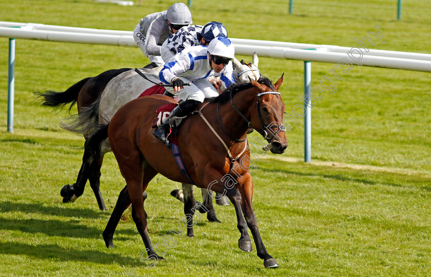 Buccabay-0001 
 BUCCABAY (Charles Bishop) wins The Betfred Join Our Sports Club Reverence Handicap
Haydock 8 Jun 2024 - Pic Steven Cargill / Racingfotos.com