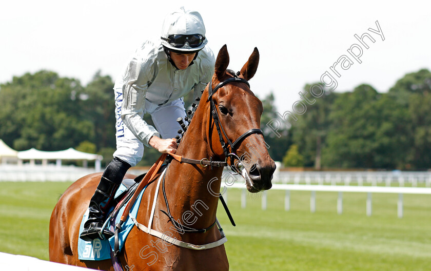 Zestful-0002 
 ZESTFUL (Ryan Moore)
Ascot 23 Jul 2021 - Pic Steven Cargill / Racingfotos.com