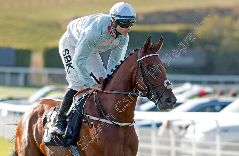 Gozo-0001 
 GOZO (Richard Kingscote)
Goodwood 26 Aug 2022 - Pic Steven Cargill / Racingfotos.com