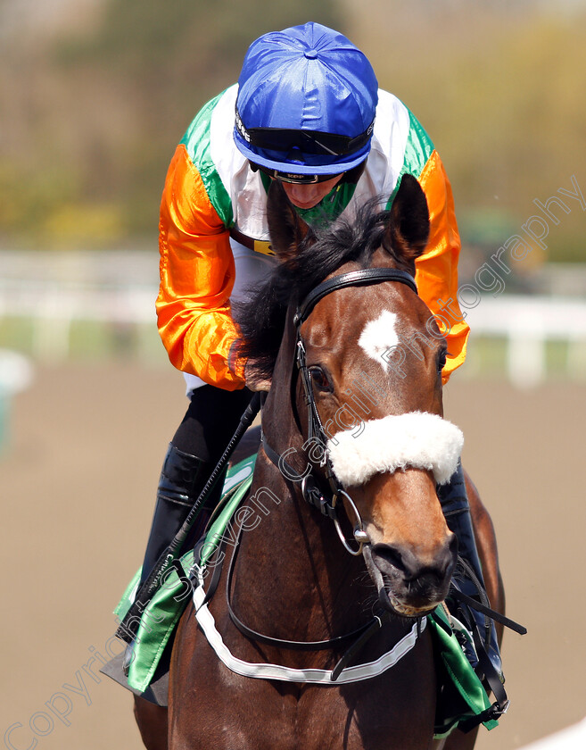 Starlight-Romance-0001 
 STARLIGHT ROMANCE (Connor Murtagh)
Lingfield 19 Apr 2019 - Pic Steven Cargill / Racingfotos.com