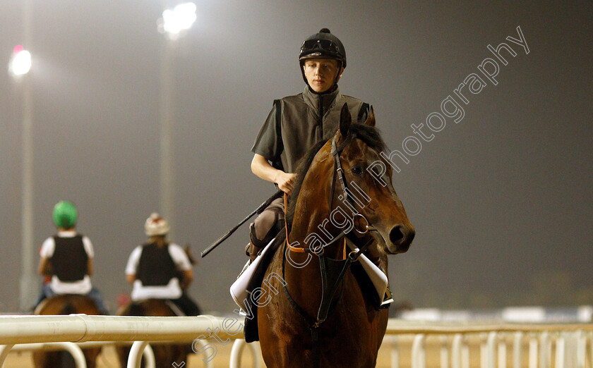 Sands-Of-Mali-0002 
 SANDS OF MALI training for The Al Quoz Sprint
Meydan 28 Mar 2019 - Pic Steven Cargill / Racingfotos.com