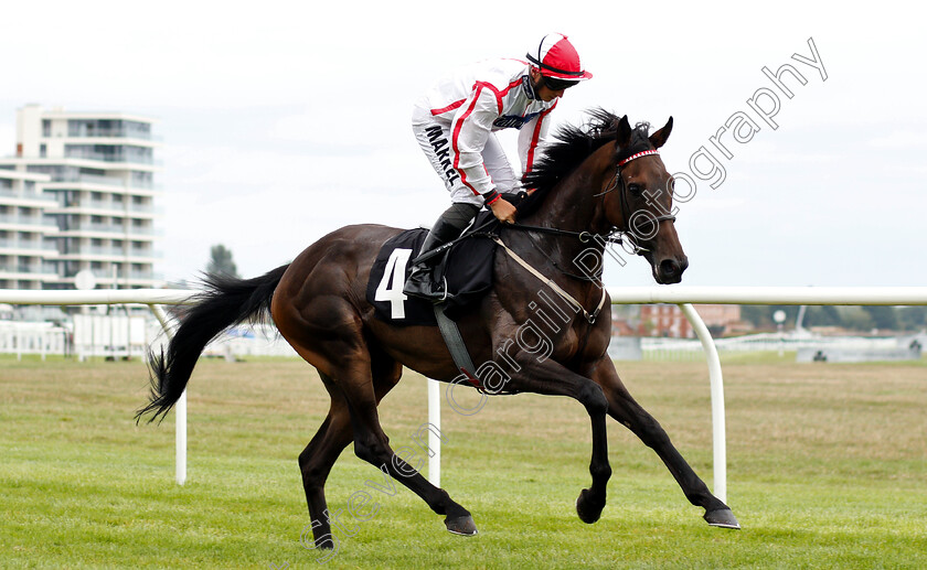 On-To-Victory-0001 
 ON TO VICTORY (Tom Marquand)
Newbury 18 Aug 2018 - Pic Steven Cargill / Racingfotos.com