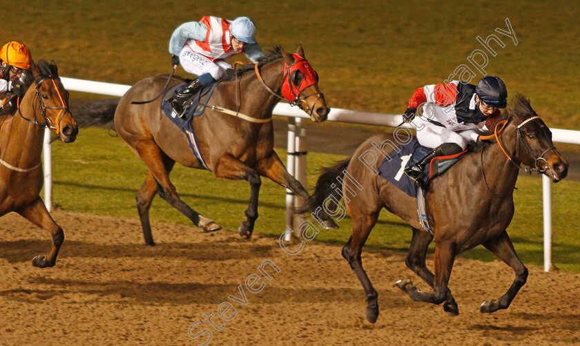 Lady-Quickstep-0002 
 LADY QUICKSTEP (George Bass) wins The Play 4 To Win At Betway Handicap Div1
Wolverhampton 18 Jan 2021 - Pic Steven Cargill / Racingfotos.com