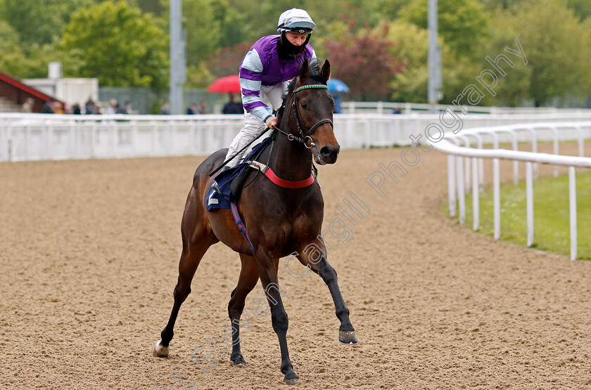 Mr-Gambino-0001 
 MR GAMBINO (Jamie Gormley)
Wolverhampton 24 May 2021 - Pic Steven Cargill / Racingfotos.com