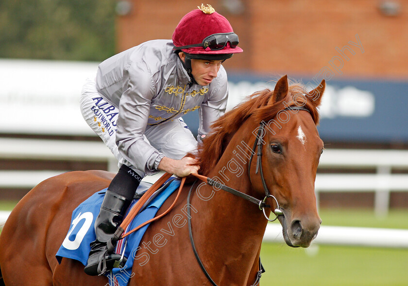 Saeer-0001 
 SAEER (Ryan Moore)
Leicester 10 Sep 2019 - Pic Steven Cargill / Racingfotos.com