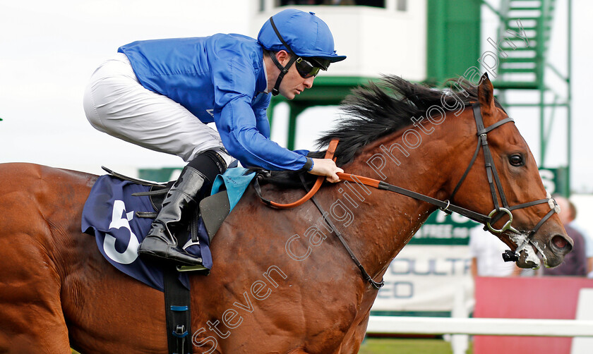 Imperial-Past-0008 
 IMPERIAL PAST (Colm O'Donoghue) wins The Hobgoblin Legendary Ruby Ale EBF Maiden Stakes Div1 Yarmouth 20 Sep 2017 - Pic Steven Cargill / Racingfotos.com