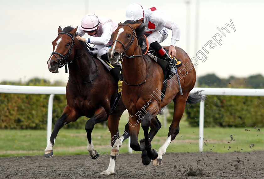 King s-Slipper-0007 
 KING'S SLIPPER (right, Adam Kirby) beats CROQUE MONSIEUR (left) in The 32red.com Handicap
Kempton 29 Aug 2018 - Pic Steven Cargill / Racingfotos.com