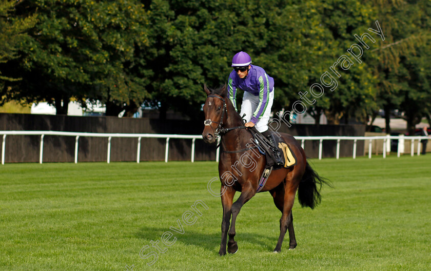 Jungle-Dance-0001 
 JUNGLE DANCE (George Wood)
Newmarket 28 Jul 2023 - Pic Steven Cargill / Racingfotos.com