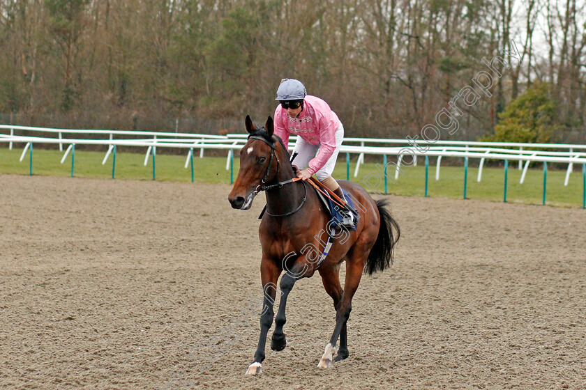 London-Arch-0001 
 LONDON ARCH (Stevie Donohoe)
Lingfield 4 Mar 2020 - Pic Steven Cargill / Racingfotos.com