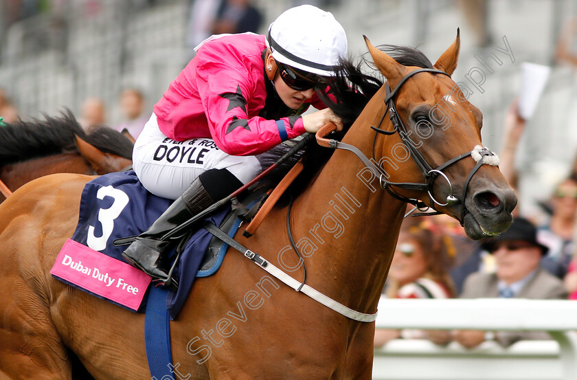 Tis-Marvellous-0005 
 TIS MARVELLOUS (Hollie Doyle) wins The Dubai Duty Free Shergar Cup Dash
Ascot 11 Aug 2018 - Pic Steven Cargill / Racingfotos.com