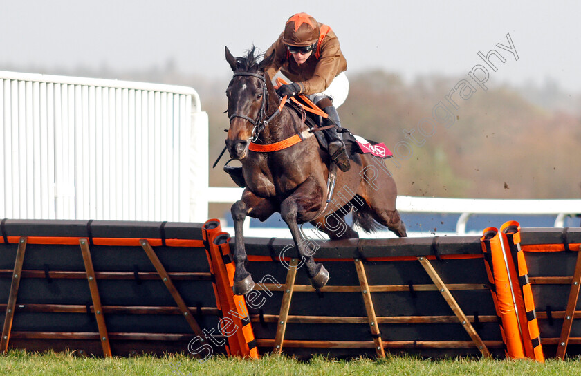 Flowing-Cadenza-0002 
 FLOWING CADENZA (Sean Houlihan) wins The Foundation Developments Noivces Handicap Hurdle
Ascot 21 Dec 2019 - Pic Steven Cargill / Racingfotos.com