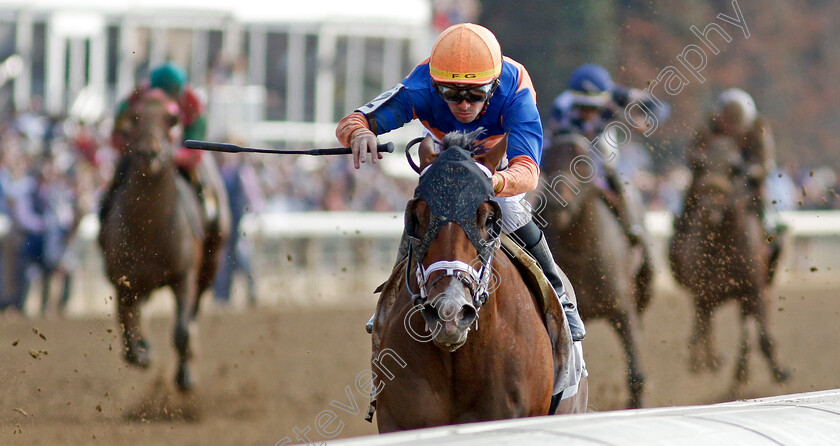 Giant-Mischief-0003 
 GIANT MISCHIEF (Florent Geroux) wins The Lanark Allowance
Breeders Cup Meeting, Keeneland USA, 4 Nov 2022 - Pic Steven Cargill / Racingfotos.com