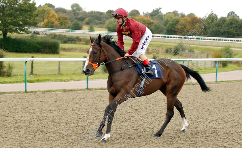 Sweet-Pearl-0001 
 SWEET PEARL (Andrea Atzeni)
Lingfield 4 Oct 2018 - Pic Steven Cargill / Racingfotos.com