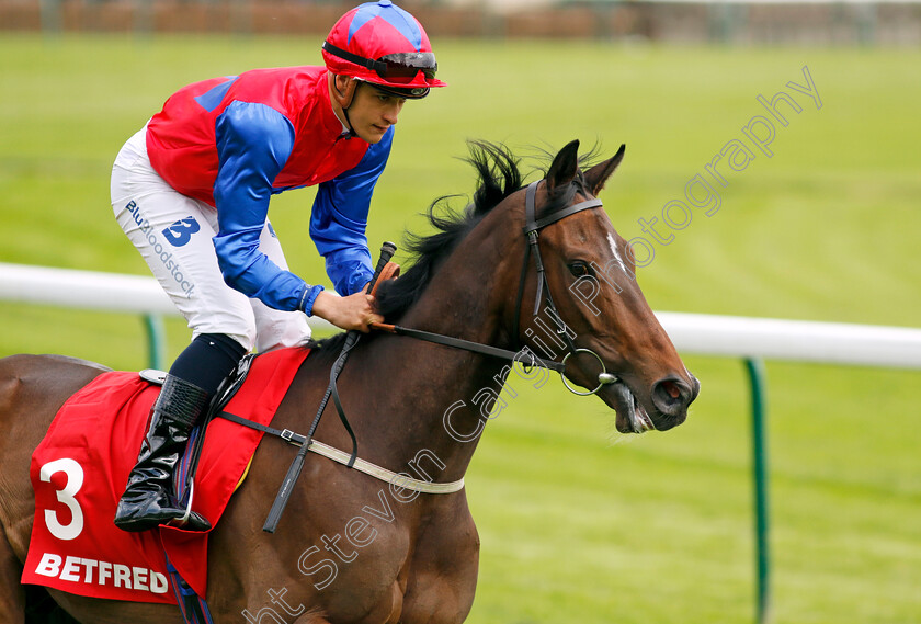 Nellie-Leylax-0004 
 NELLIE LEYLAX (Pierre-Louis Jamin) winner of the Betfred Silver Bowl Handicap
Haydock 25 May 2024 - Pic Steven Cargill / Racingfotos.com