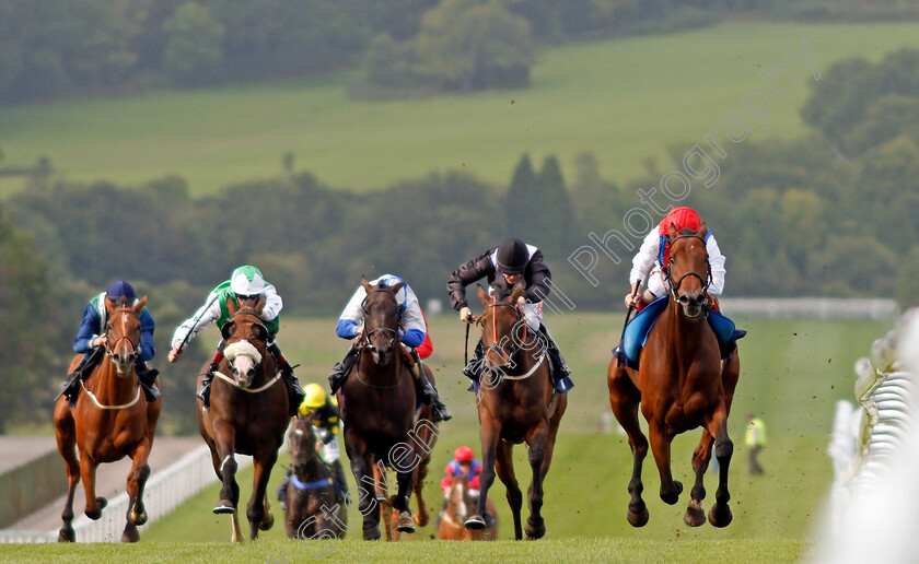 Sparte-Quercus-0006 
 SPARTE QUERCUS (Franny Norton) wins The Andrea And Martin Big Wedding Day Handicap Chepstow 6 Sep 2017 - Pic Steven Cargill / Racingfotos.com