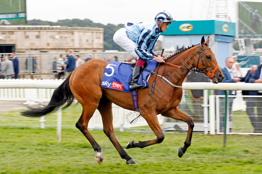 Tashkhan-0001 
 TASHKHAN (Harry Russell)
York 21 Aug 2021 - Pic Steven Cargill / Racingfotos.com