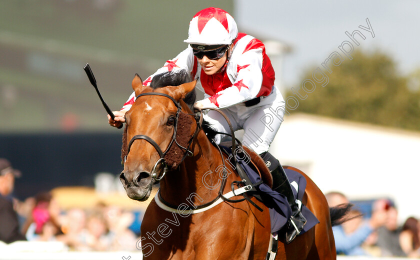 Dubai-Acclaim-0005 
 DUBAI ACCLAIM (Sammy Jo Bell) wins The Mondialiste Leger Legends Classified Stakes
Doncaster 11 Sep 2019 - Pic Steven Cargill / Racingfotos.com