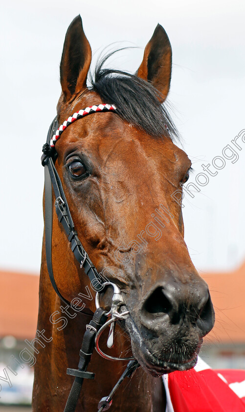 Hamish-0009 
 HAMISH after The tote.co.uk Proud To Support Chester Racecourse Ormonde Stakes
Chester 5 May 2022 - Pic Steven Cargill / Racingfotos.com