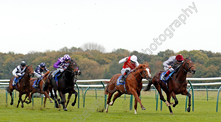 Msayyan-0002 
 MSAYYAN (Frankie Dettori) beats CORGI (left) and GHAZAN (left) in The Kier Construction EBF Maiden Stakes Nottingham 18 Oct 2017 - Pic Steven Cargill / Racingfotos.com