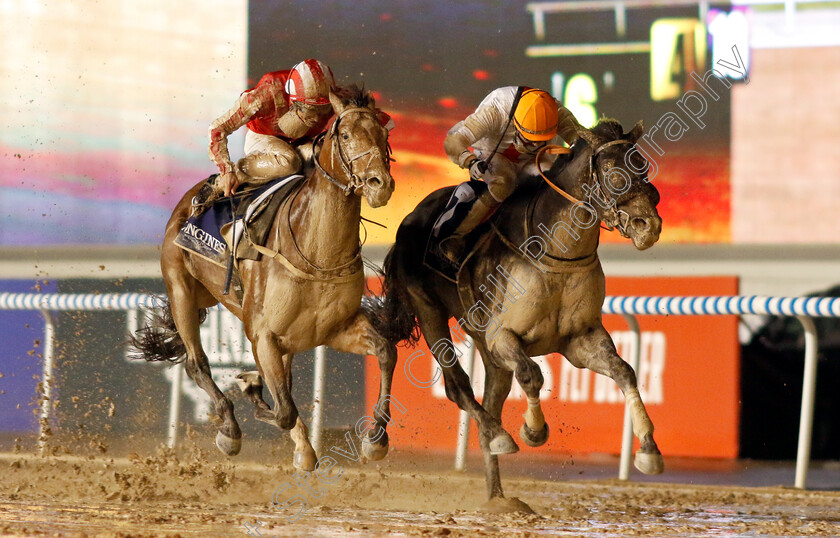 Franz-Strauss-0004 
 FRANZ STRAUSS (right, Tadhg O'Shea) beats WITHERING (left) in The Longines Legend Diver Collection Handicap
Meydan 27 Jan 2023 - Pic Steven Cargill / Racingfotos.com