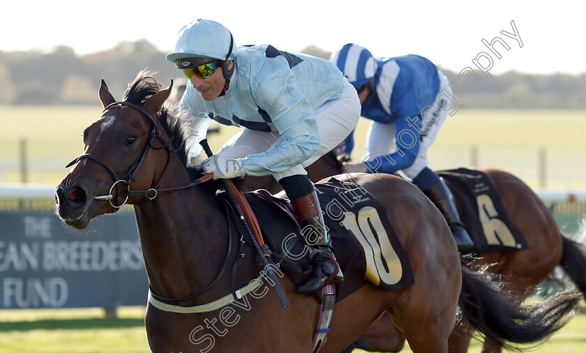 Sunday-Star-0004 
 SUNDAY STAR (Gerald Mosse) wins The Blandford Bloodstock Maiden Fillies Stakes Div1
Newmarket 29 Sep 2018 - Pic Steven Cargill / Racingfotos.com