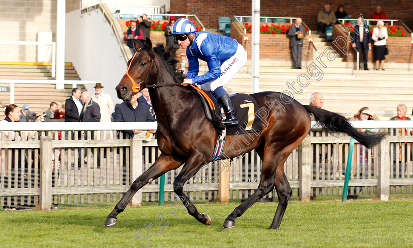 Kaafy-0001 
 KAAFY (Jim Crowley)
Newmarket 24 Oct 2018 - Pic Steven Cargill / Racingfotos.com