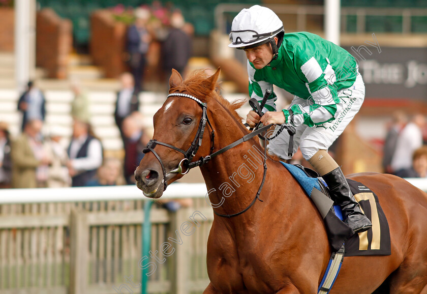 Synchronize-0001 
 SYNCHRONIZE (Shane Foley)
Newmarket 28 Sep 2023 - Pic Steven Cargill / Racingfotos.com