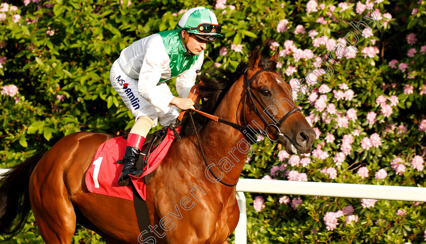 Emirates-Knight-0001 
 EMIRATES KNIGHT (Andrea Atzeni)
Sandown 30 May 2019 - Pic Steven Cargill / Racingfotos.com