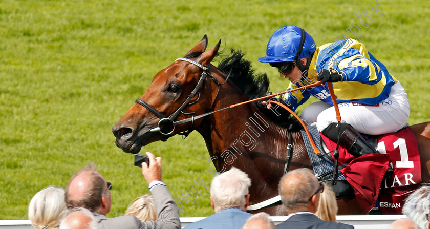 Trueshan-0003 
 TRUESHAN (Hollie Doyle) wins The Al Shaqab Goodwood Cup
Goodwood 27 Jul 2021 - Pic Steven Cargill / Racingfotos.com