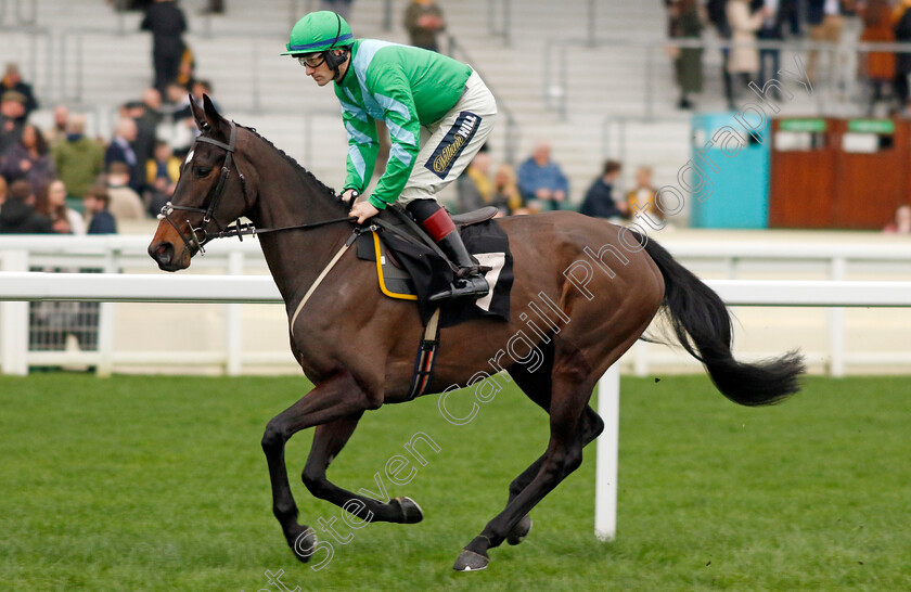 Moet-At-Upton-0001 
 MOET AT UPTON (Sam Twiston-Davies)
Ascot 17 Feb 2024 - Pic Steven Cargill / Racingfotos.com