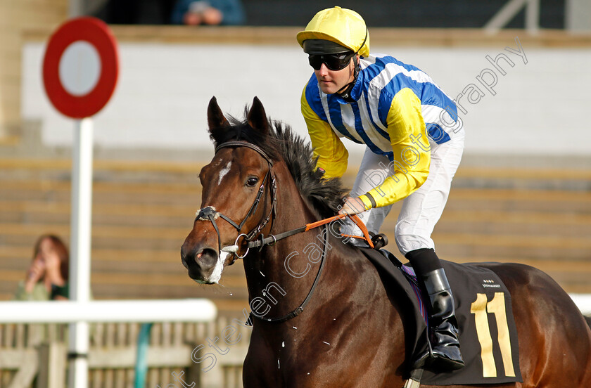 Star-Of-Sussex-0001 
 STAR OF SUSSEX (Tom Queally)
Newmarket 28 Oct 2022 - Pic Steven Cargill / Racingfotos.com